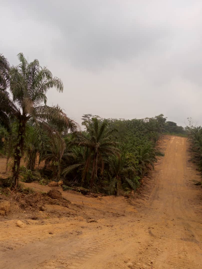 Land for sale at Douala, Bassa, Kendeck - 10000 m2 - 5 000 000 FCFA