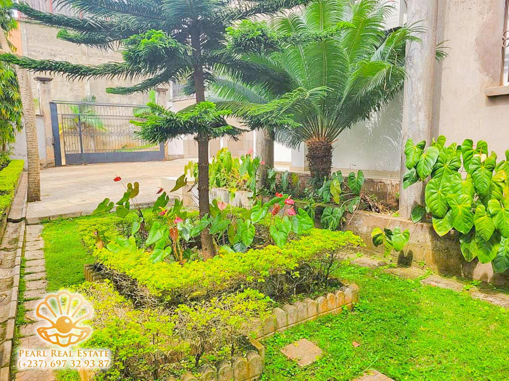 Apartment to rent - Yaoundé, Bastos, Ambassade de Chine - 1 living room(s), 2 bedroom(s), 1 bathroom(s) - 700 000 FCFA / month