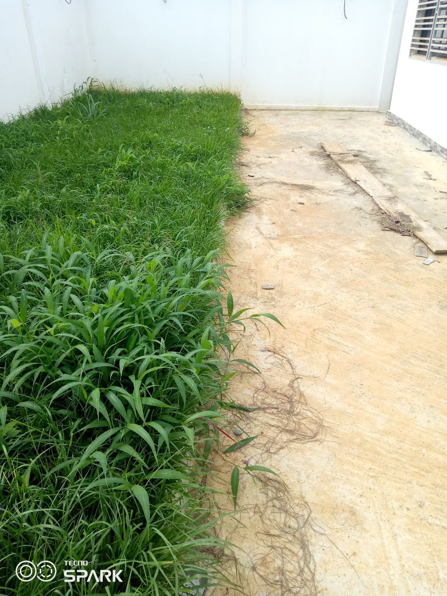 Maison (Villa) à vendre - Yaoundé, Olembe, Olembe - 1 salon(s), 4 chambre(s), 4 salle(s) de bains - 100 000 000 FCFA