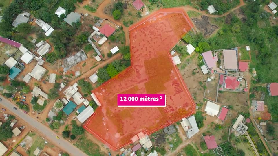 Terrain à vendre - Yaoundé, Odza, Nkolnda - 12000 m2 - 720 000 000 FCFA