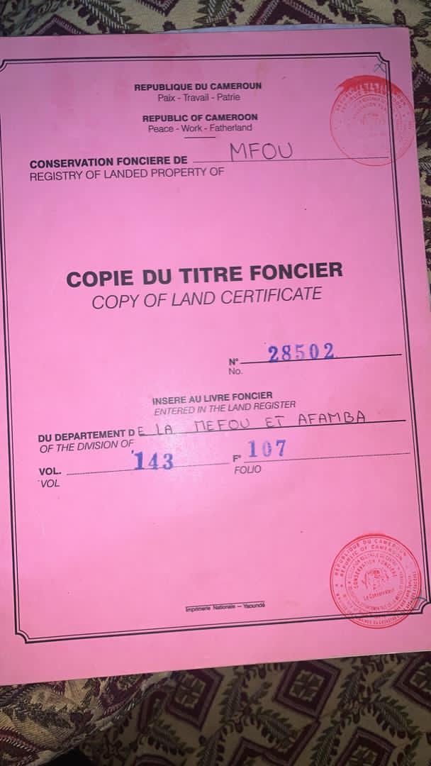 Terrain à vendre - Yaoundé, Olembe, Nkometou - 10000 m2 - 20 000 000 FCFA