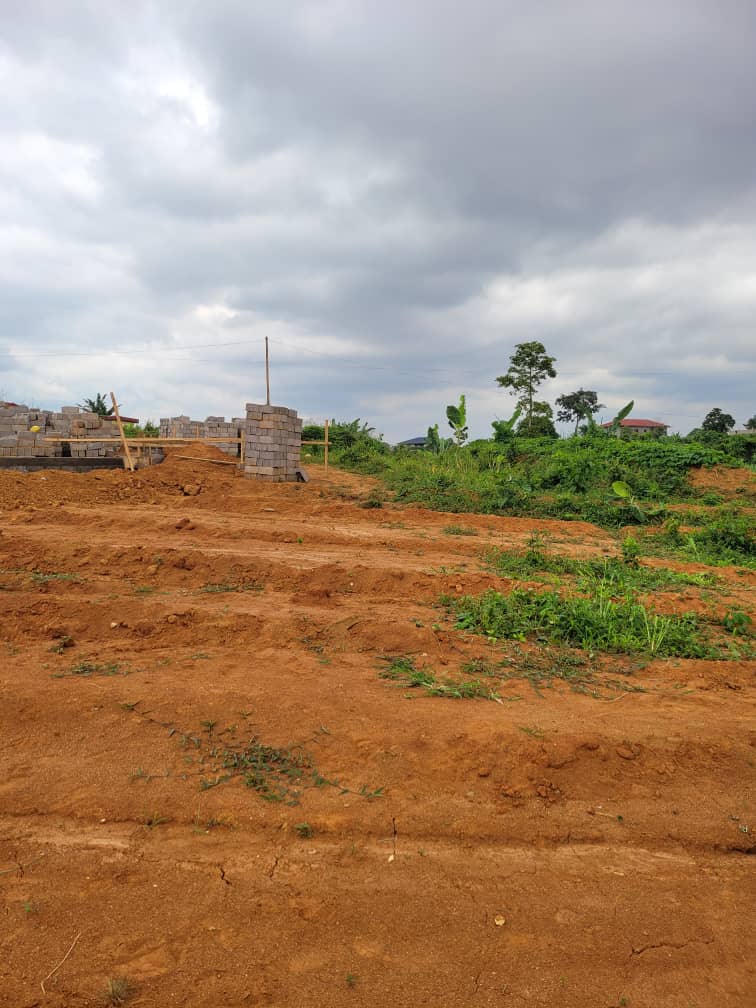 Land for sale at Yaoundé, Olembe, A coté du stade Olembé - 10000 m2 - 400 000 000 FCFA