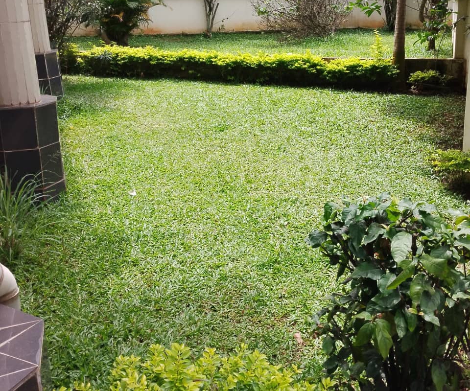 Apartment to rent - Yaoundé, Bastos, Bastos - 1 living room(s), 3 bedroom(s), 4 bathroom(s) - 650 000 FCFA / month