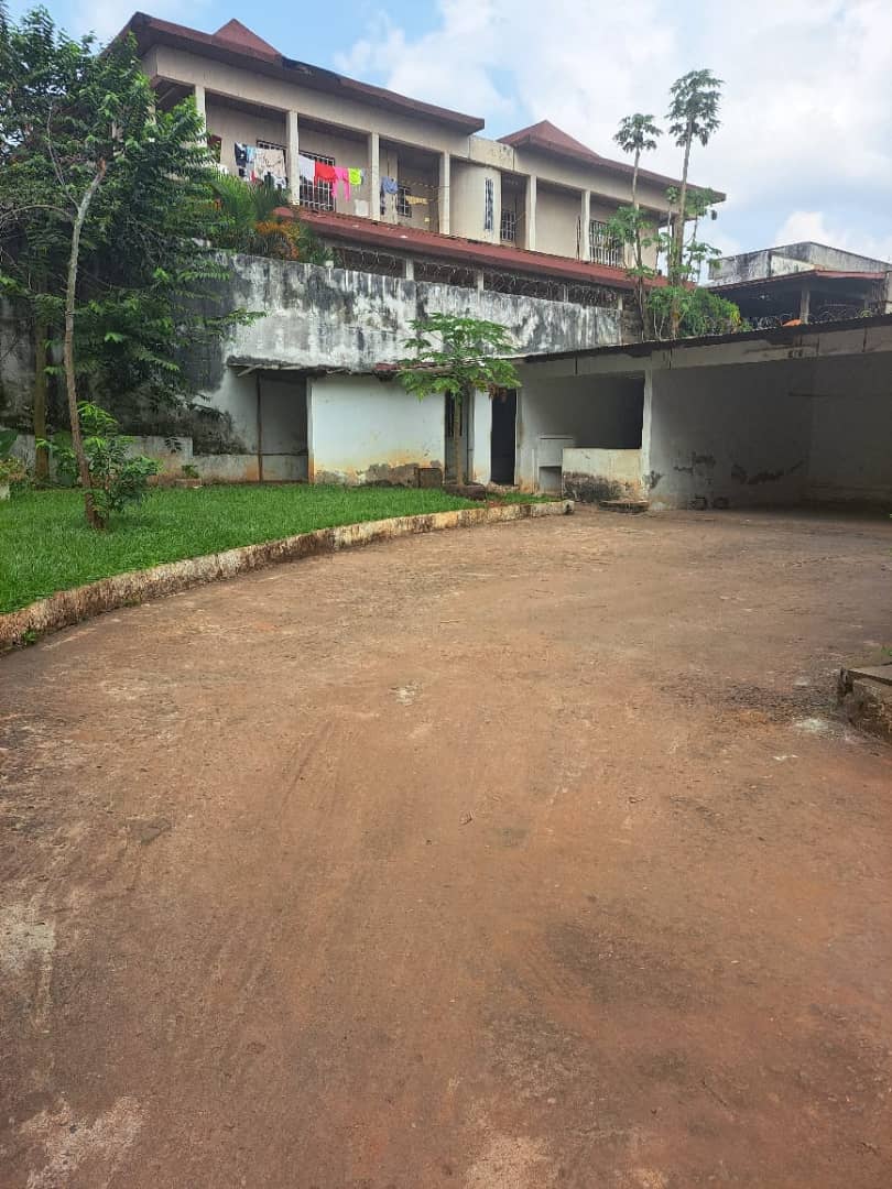 Office to rent at Yaoundé, Bastos, Bastos - 1000 m2 - 1 500 000 FCFA