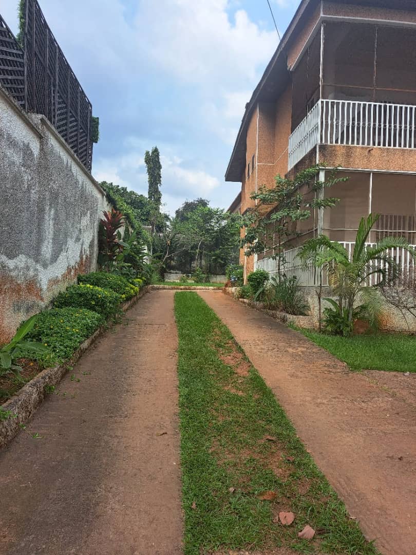 Office to rent at Yaoundé, Bastos, Bastos - 1000 m2 - 1 500 000 FCFA