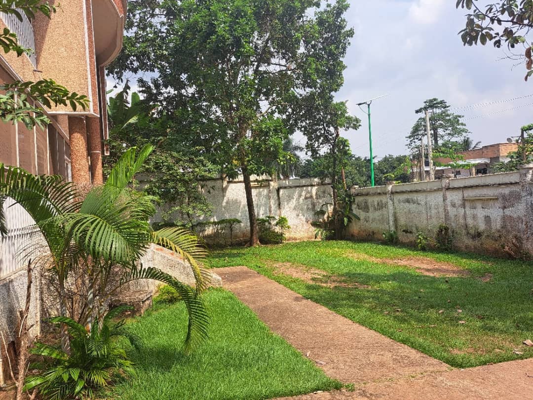 Office to rent at Yaoundé, Bastos, Bastos - 1000 m2 - 1 500 000 FCFA