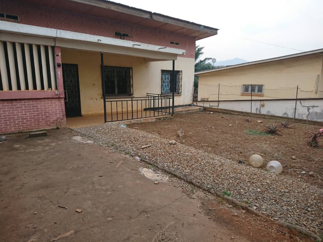 House (Villa) to rent - Yaoundé, Tsinga, FECAFOOT - 1 living room(s), 3 bedroom(s), 2 bathroom(s) - 750 000 FCFA / month