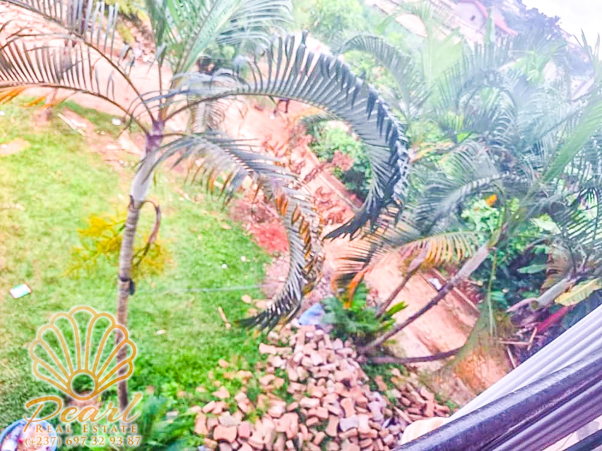 Maison (Duplex) à vendre - Yaoundé, Mfandena, Omnisports - 1 salon(s), 6 chambre(s), 5 salle(s) de bains - 200 000 000 FCFA