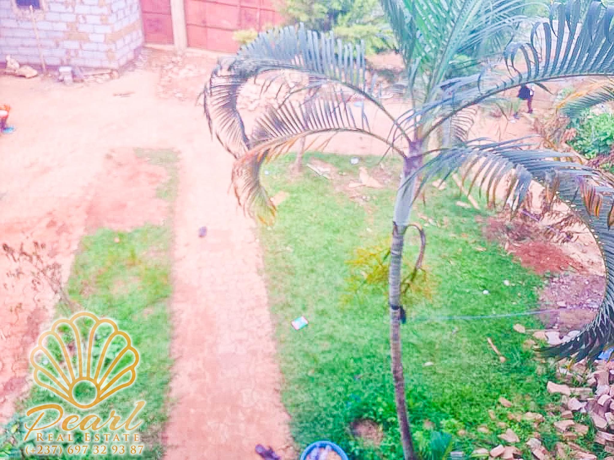 Maison (Duplex) à vendre - Yaoundé, Mfandena, Omnisports - 1 salon(s), 6 chambre(s), 5 salle(s) de bains - 200 000 000 FCFA