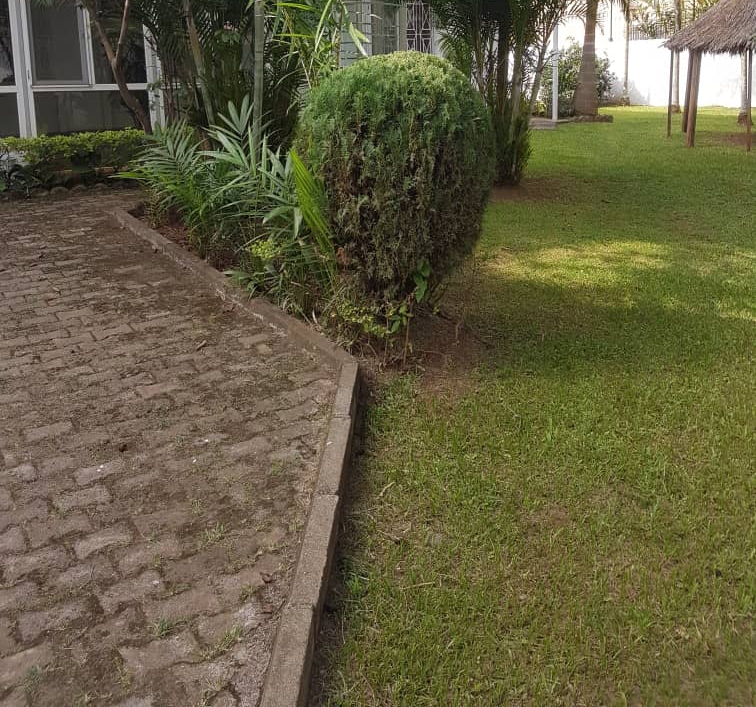 House (Villa) to rent - Yaoundé, Bastos, Bastos - 1 living room(s), 5 bedroom(s), 5 bathroom(s) - 2 000 000 FCFA / month