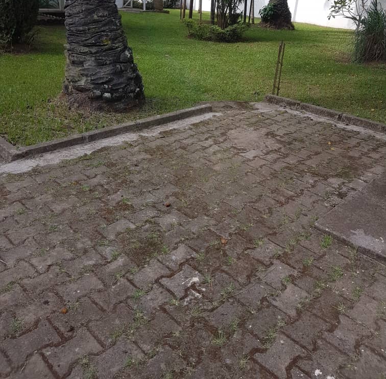 Bureau à louer à Yaoundé, Bastos, Bastos - 1000 m2 - 2 000 000 FCFA