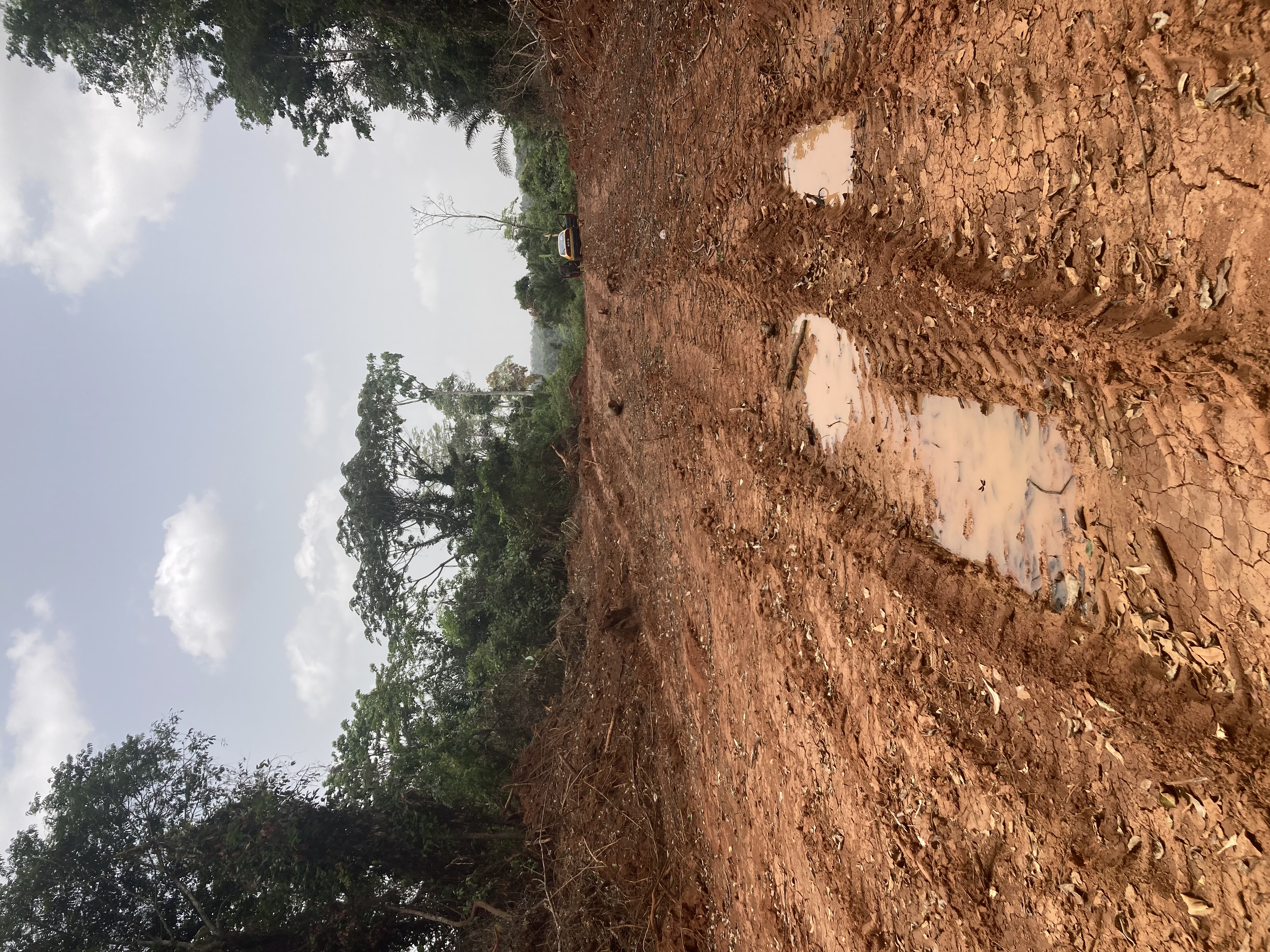 Terrain à vendre - Yaoundé, Mfou, Elat - 1000 m2 - 2 500 000 FCFA