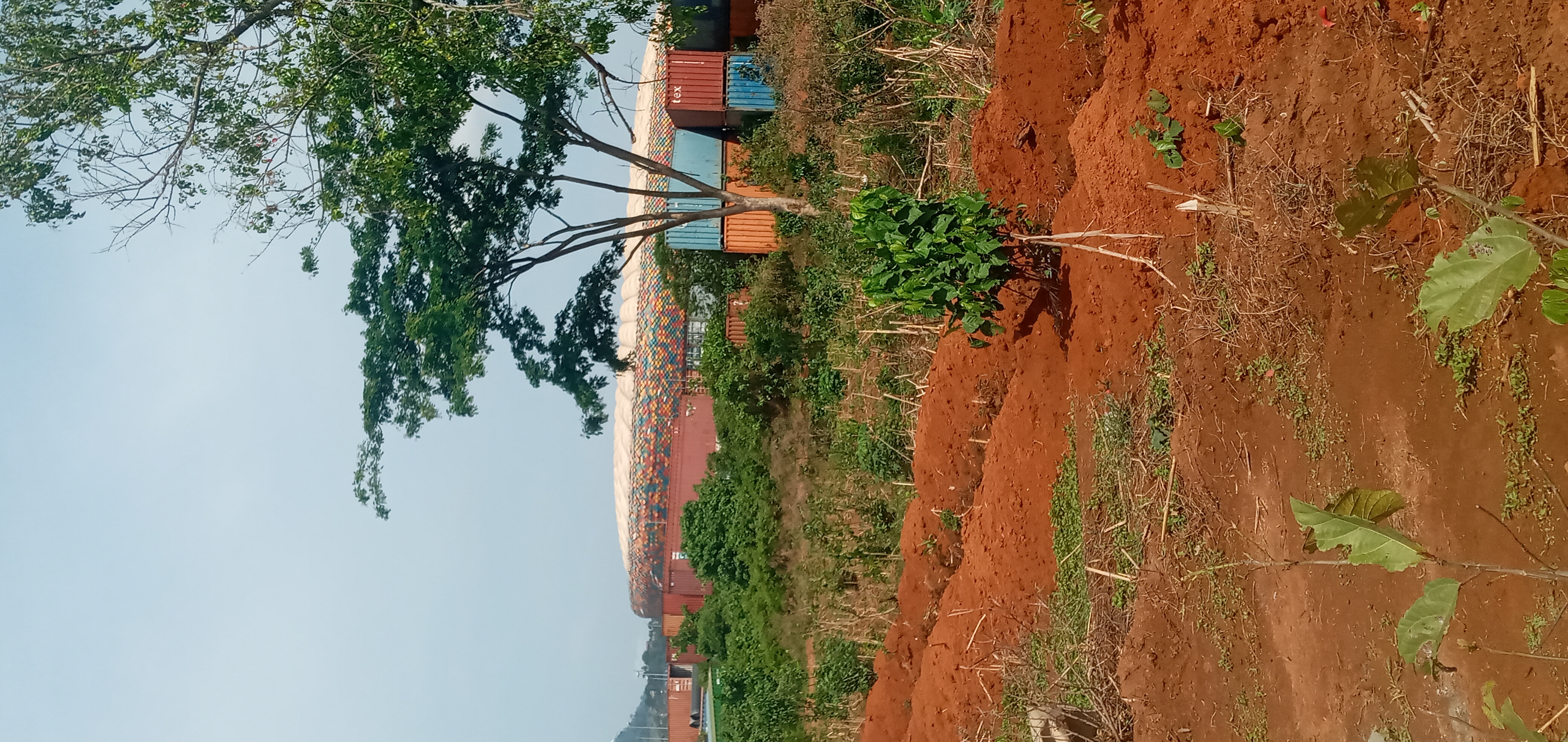 Land for sale at Yaoundé, Olembe, Stade olembé - 5000 m2 - 300 000 000 FCFA