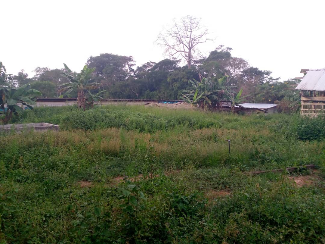 Land for sale at Yaoundé, Nsimalen, 15 km avant Mbalmayo (Ovangoul) - 10000 m2 - 45 000 000 FCFA