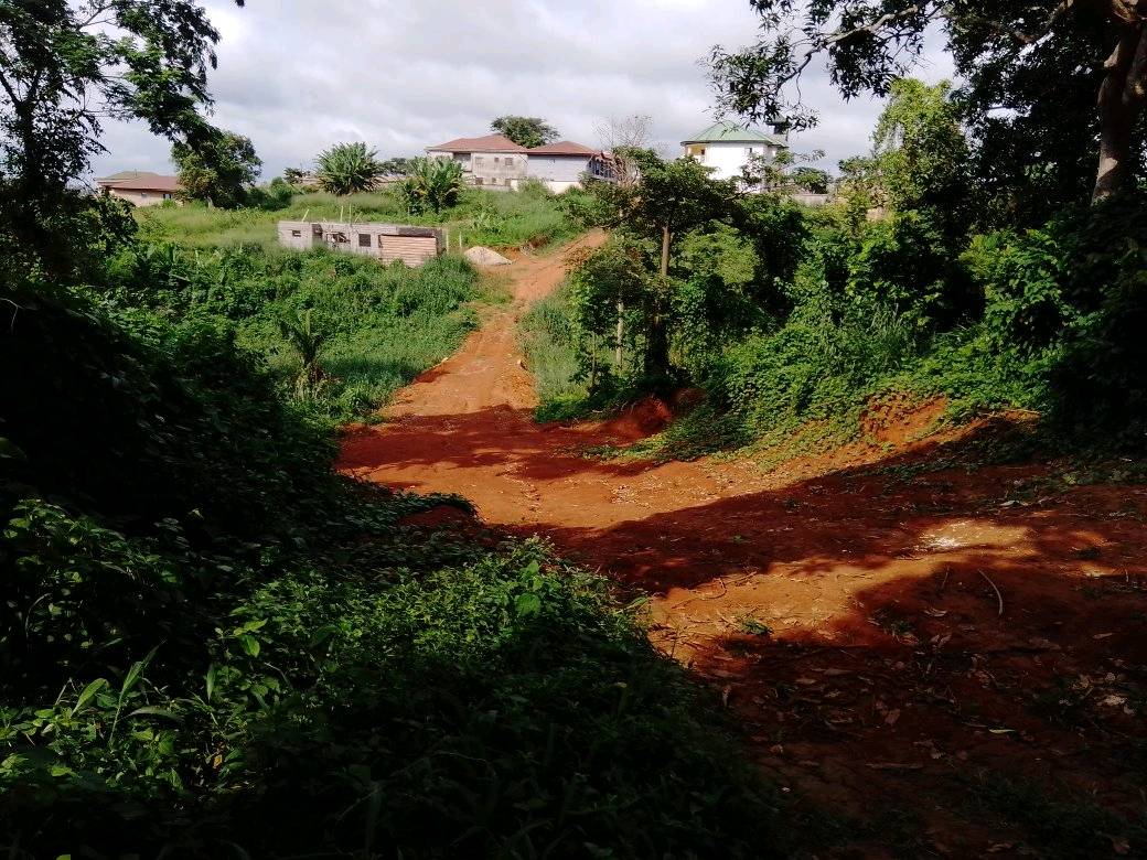 Terrain à vendre - Yaoundé, Damas, ebom - 10000 m2 - 30 000 000 FCFA
