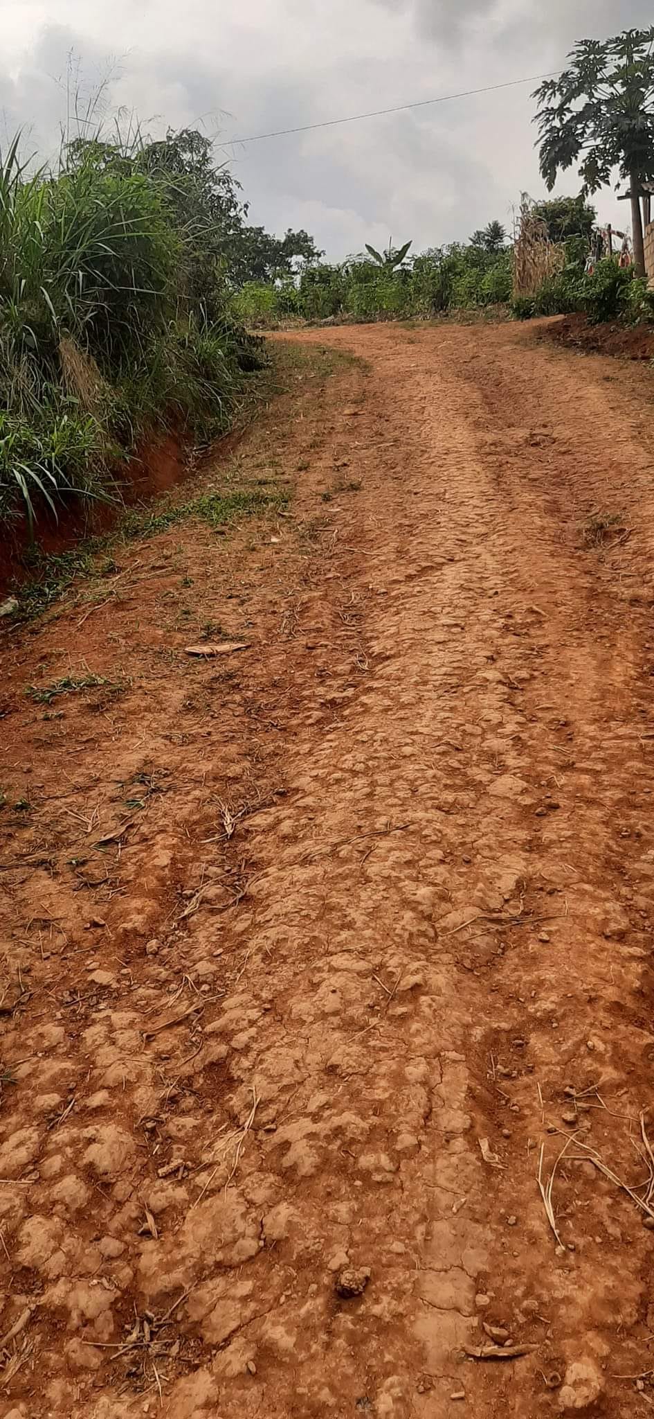 Terrain à vendre - Yaoundé, Nkolbisson, famassi - 700 m2 - 14 000 000 FCFA