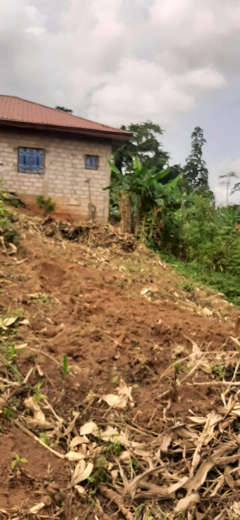 Terrain à vendre - Yaoundé, Nkolbisson, famassi - 700 m2 - 14 000 000 FCFA