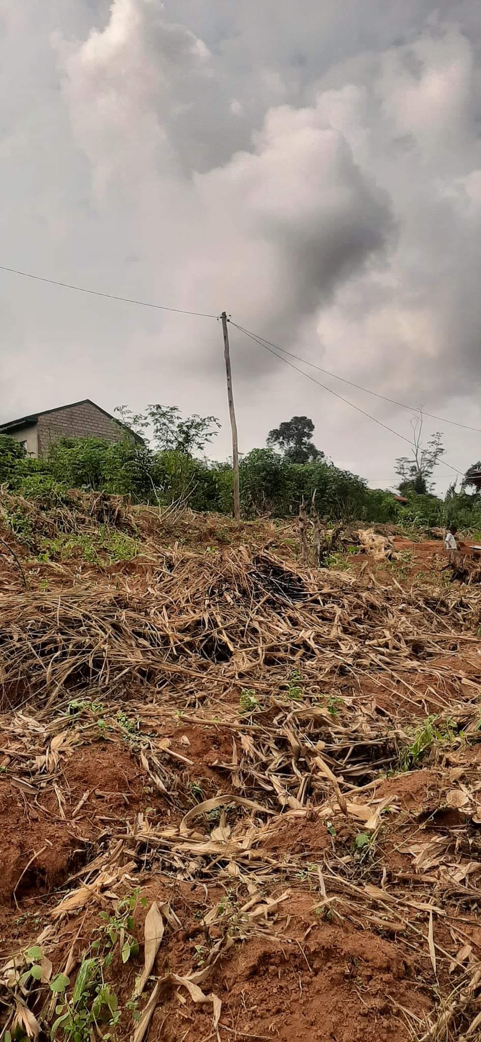 Terrain à vendre - Yaoundé, Nkolbisson, famassi - 700 m2 - 14 000 000 FCFA