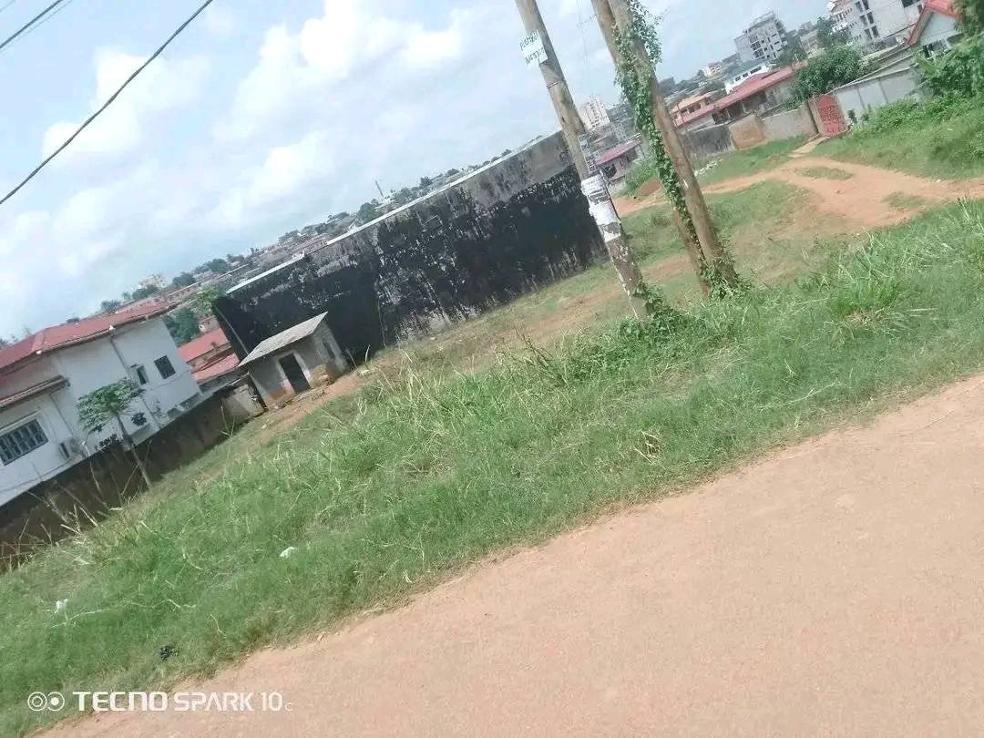 Terrain à vendre - Yaoundé, Mfandena, omnisport - 723 m2 - 122 910 000 FCFA