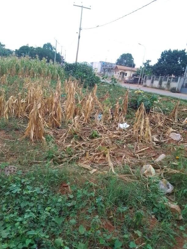 Terrain à vendre - Yaoundé, Olembe, olembe - 2684 m2 - 268 400 000 FCFA