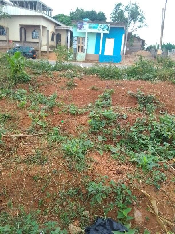 Terrain à vendre - Yaoundé, Olembe, olembe - 2684 m2 - 268 400 000 FCFA