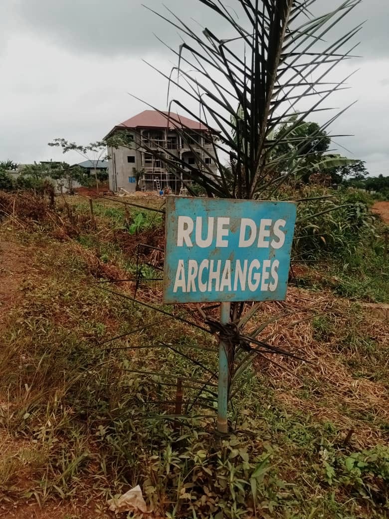 Terrain à vendre - Yaoundé, Nkolfoulou, tsinga village - 1000 m2 - 18 000 000 FCFA