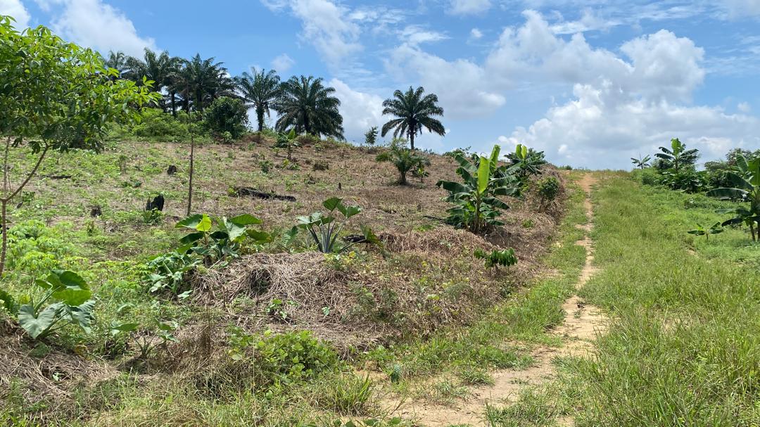 Land for sale at Douala, PK 27, Entrée Guinness - 1000 m2 - 5 000 000 FCFA