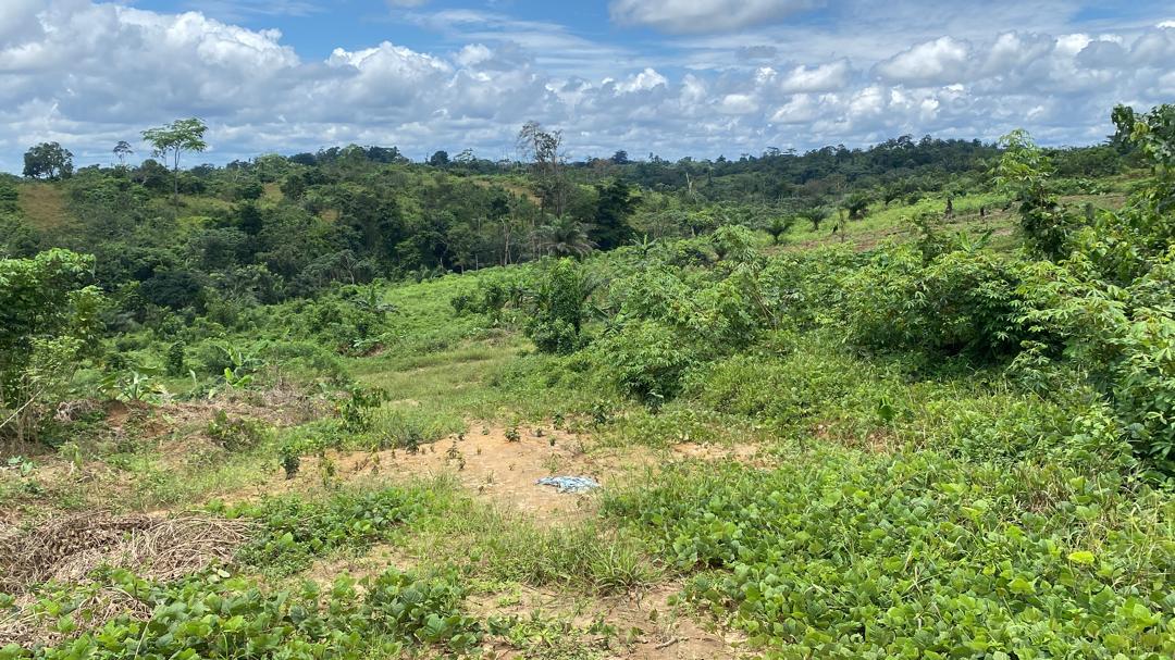 Land for sale at Douala, PK 27, Entrée Guinness - 1000 m2 - 5 000 000 FCFA