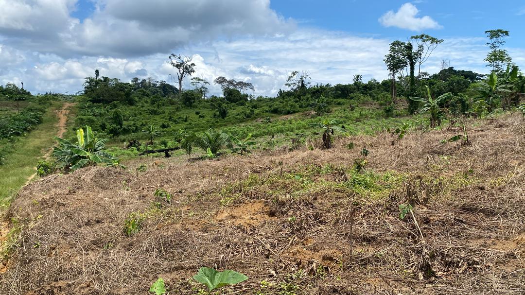 Land for sale at Douala, PK 27, Entrée Guinness - 1000 m2 - 5 000 000 FCFA