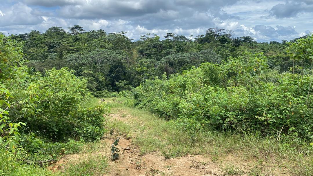 Land for sale at Douala, PK 27, Entrée Guinness - 1000 m2 - 5 000 000 FCFA