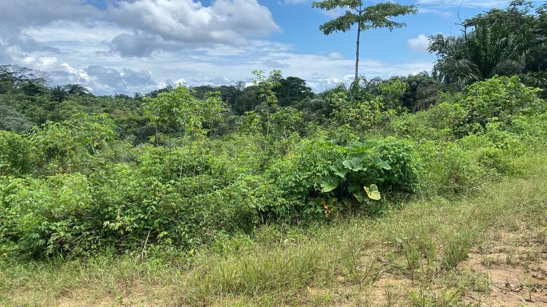 Land for sale at Douala, PK 27, Entrée Guinness - 1000 m2 - 5 000 000 FCFA