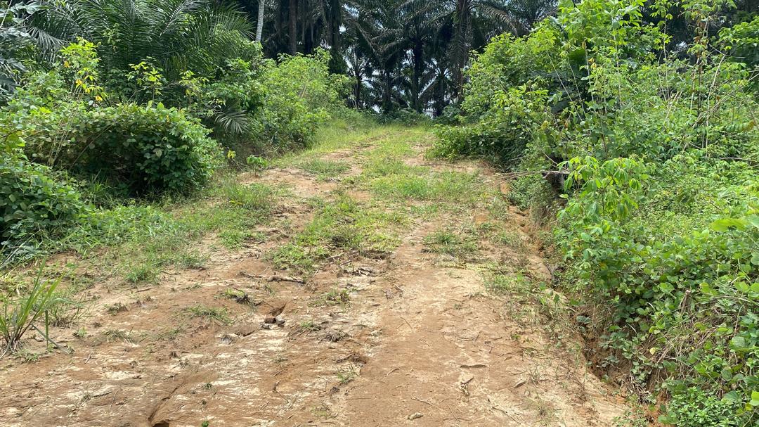 Land for sale at Douala, PK 27, Entrée Guinness - 1000 m2 - 5 000 000 FCFA