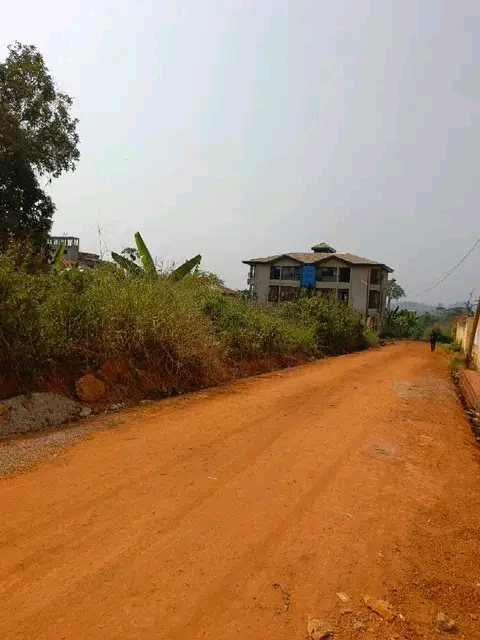 Land for sale at Yaoundé, Nkolfoulou, Tsinga village - 1000 m2 - 25 000 000 FCFA