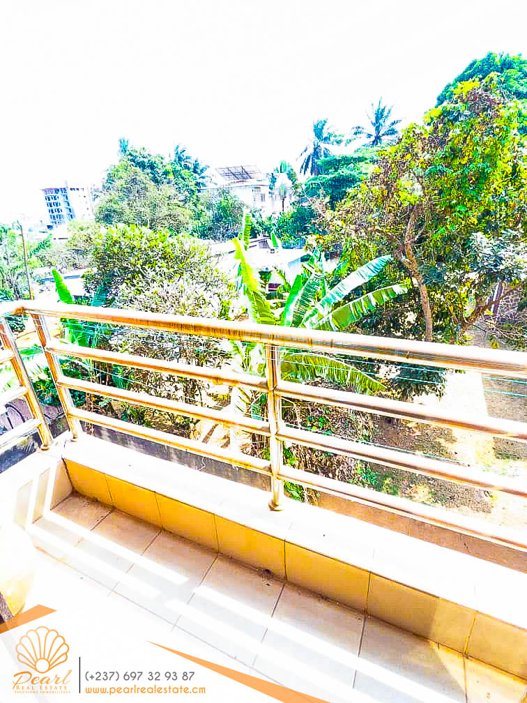 Appartement à louer - Yaoundé, Bastos, OIM - 1 salon(s), 3 chambre(s), 3 salle(s) de bains - 500 000 FCFA / mois
