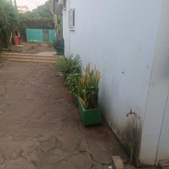 House (Villa) to rent - Yaoundé, Bastos, Bastos - 1 living room(s), 3 bedroom(s), 2 bathroom(s) - 1 200 000 FCFA / month