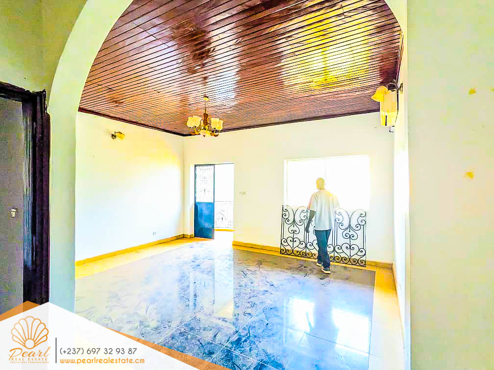Appartement à louer - Yaoundé, Mfandena, Stade - 1 salon(s), 1 chambre(s), 1 salle(s) de bains - 180 000 FCFA / mois