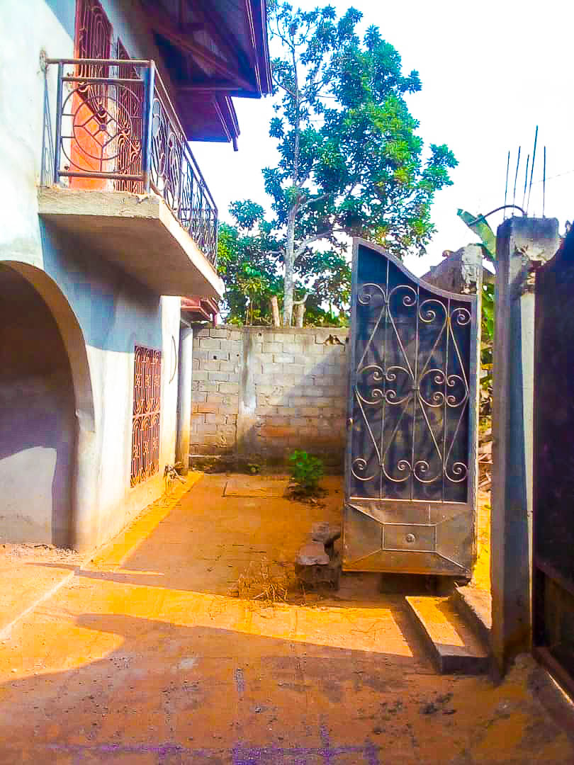 Maison (Duplex) à vendre - Yaoundé, Nyom, Carrefour Katanga - 2 salon(s), 6 chambre(s), 5 salle(s) de bains - 55 000 000 FCFA