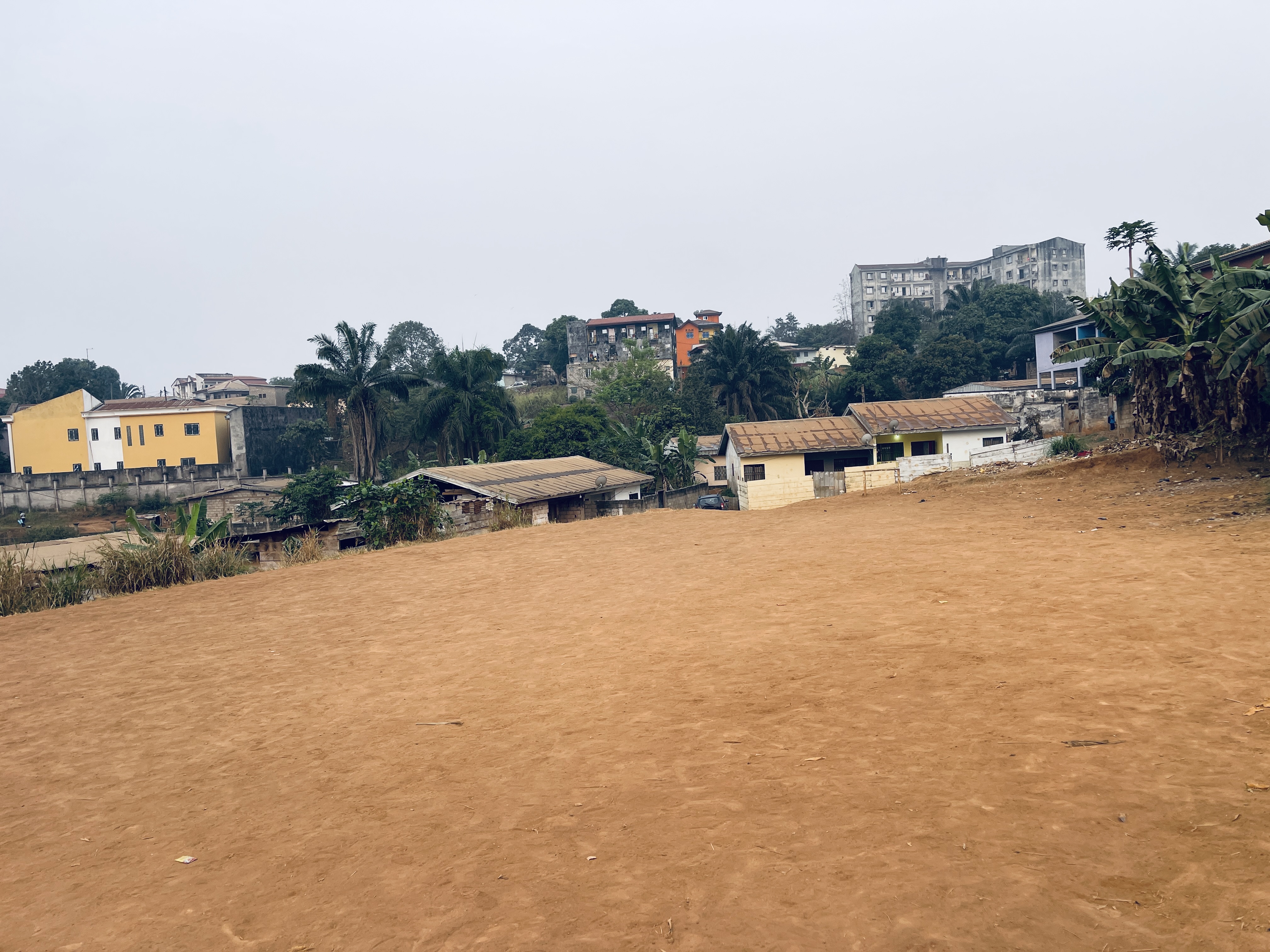 Terrain à vendre - Yaoundé, Odza, Auberge bleue - 1000 m2 - 50 000 000 FCFA