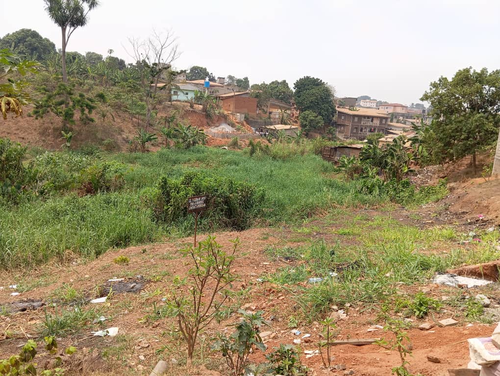 Land for sale at Yaoundé, Eleveur, Après trader éleveur - 300 m2 - 9 000 000 FCFA