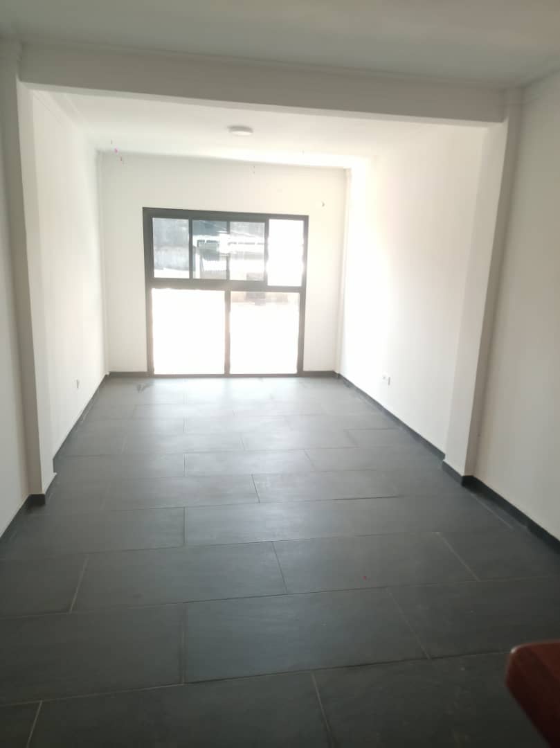 Apartment to rent - Douala, Akwa I, Akwa - 1 living room(s), 1 bedroom(s), 1 bathroom(s) - 250 000 FCFA / month