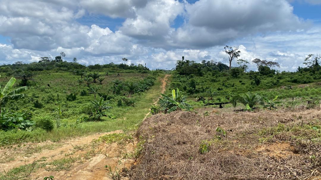 Land for sale at Douala, PK 27, Entrée Guinness - 1000 m2 - 3 500 000 FCFA