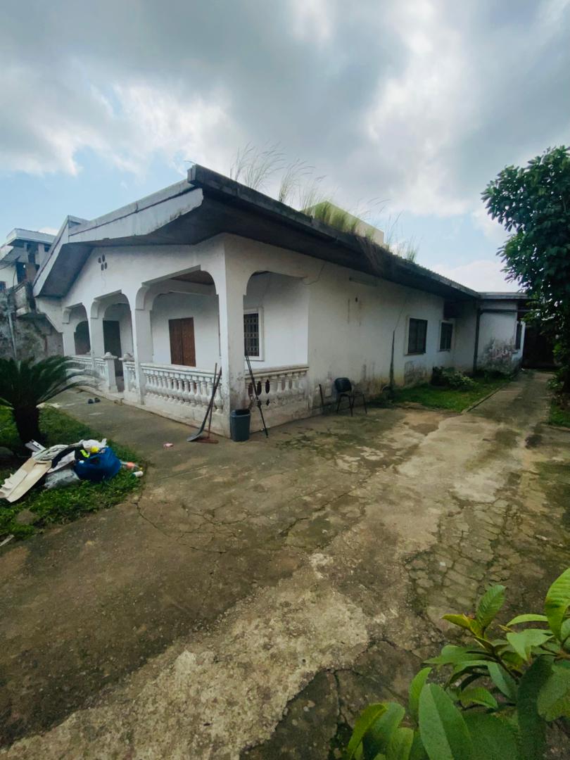House (Villa) to rent - Douala, Bonamoussadi, Yoro djoss - 1 living room(s), 3 bedroom(s), 2 bathroom(s) - 350 000 FCFA / month
