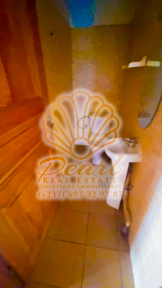 Appartement à louer - Yaoundé, Bastos, Nouvelle route Bastos - 1 salon(s), 3 chambre(s), 3 salle(s) de bains - 350 000 FCFA / mois