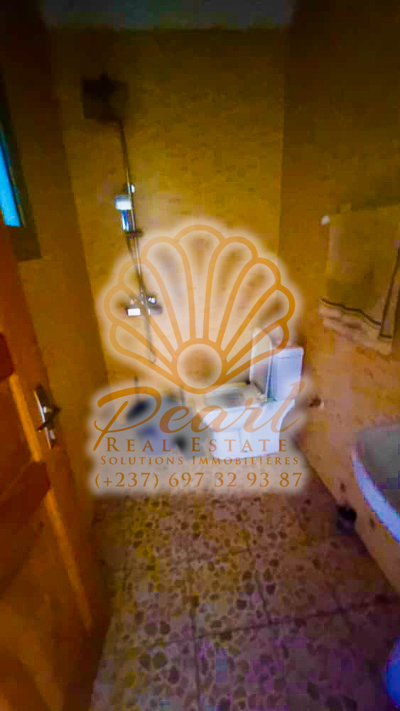 Appartement à louer - Yaoundé, Bastos, Nouvelle route Bastos - 1 salon(s), 3 chambre(s), 3 salle(s) de bains - 350 000 FCFA / mois