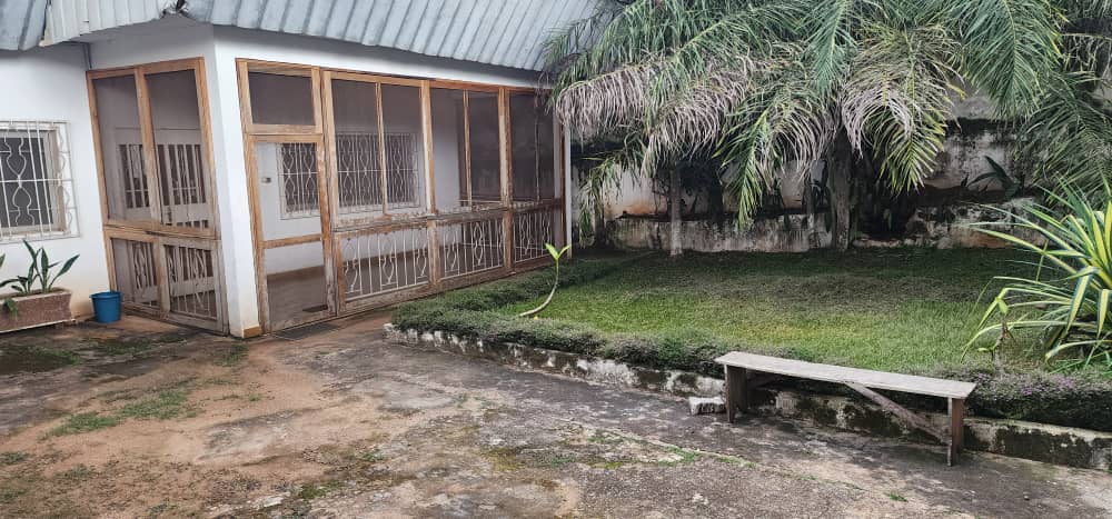House (Villa) to rent - Yaoundé, Bastos, Bastos ( villa avec 1 studios) - 1 living room(s), 3 bedroom(s), 2 bathroom(s) - 800 000 FCFA / month