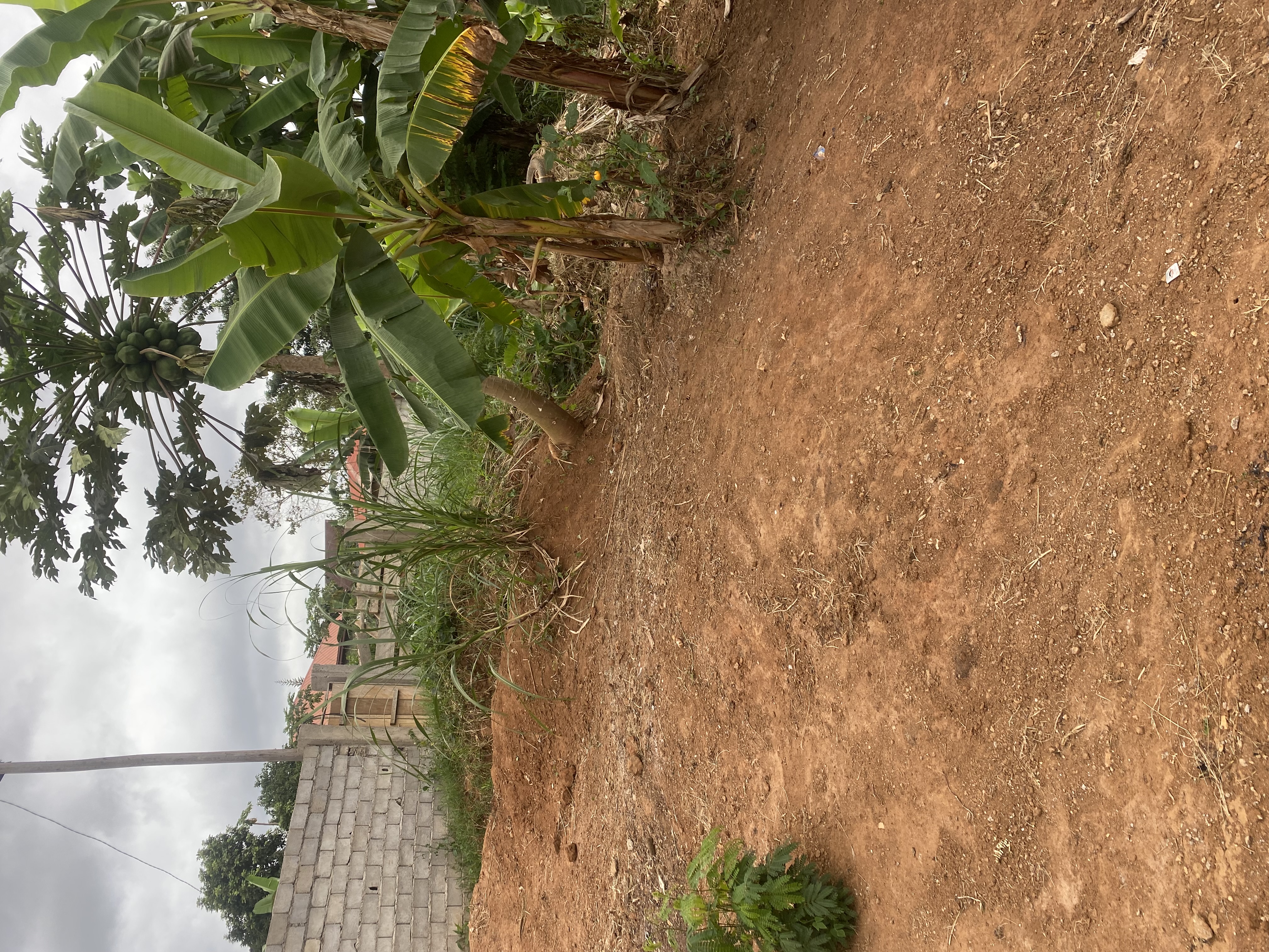 Land for sale at Yaoundé, Odza, Minkan lycée - 1000 m2 - 30 000 000 FCFA