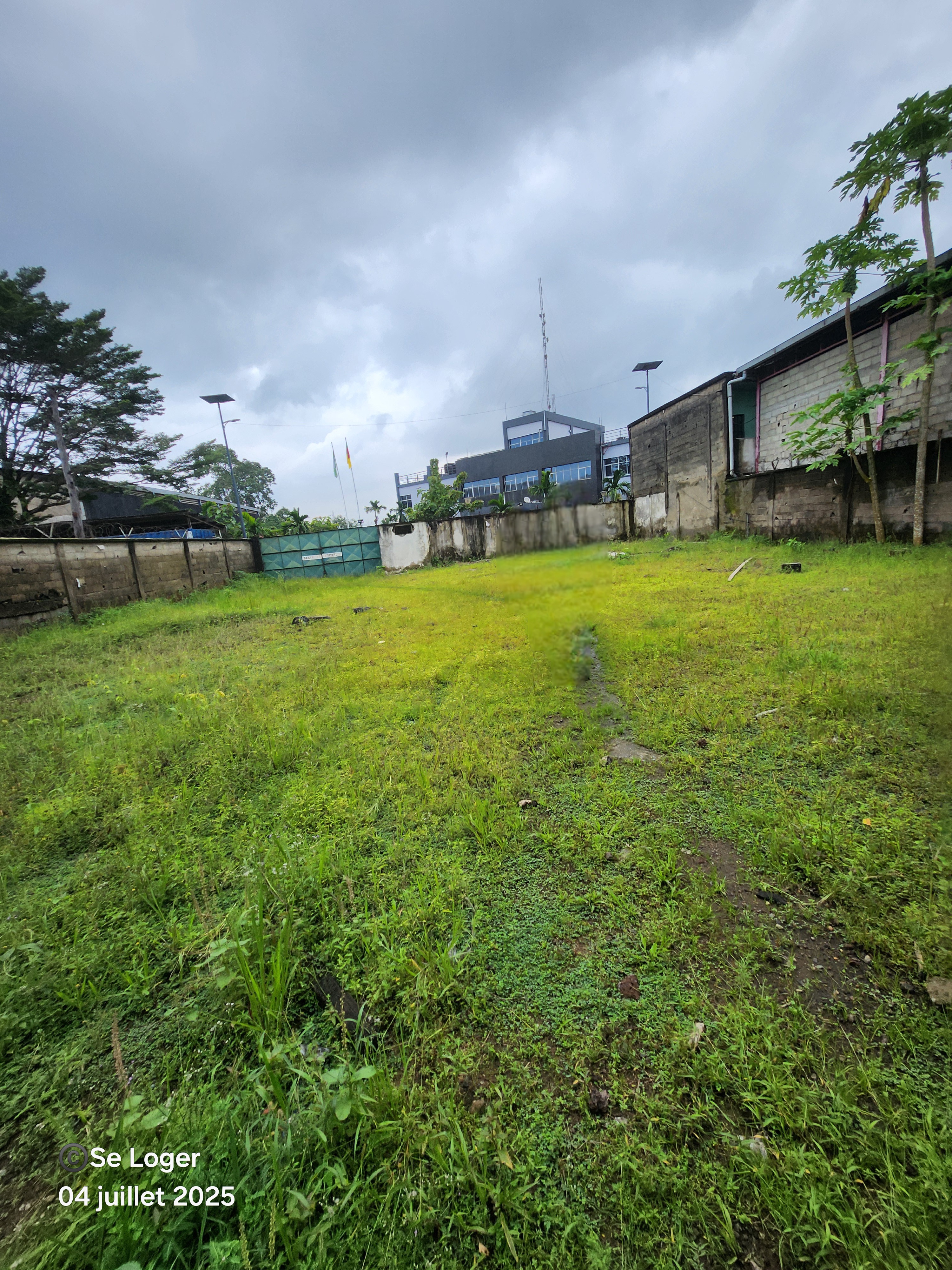 Store to rent at Douala, Port, Sea port - 1200 m2 - 1 000 000 FCFA