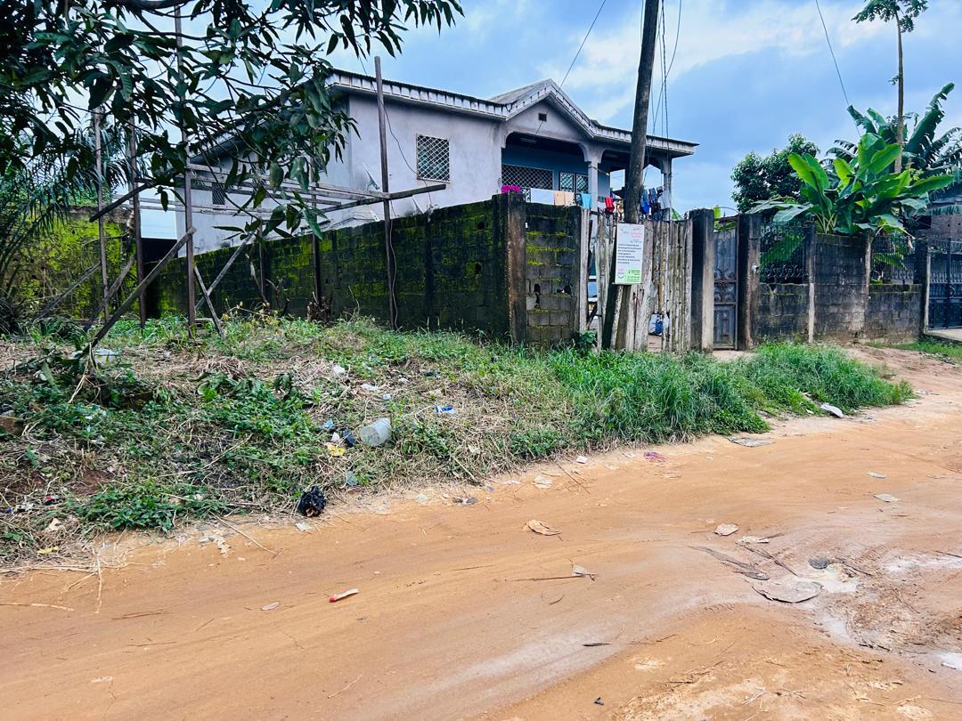 Terrain à vendre - Douala, Logbessou I, Crtv bar - 416 m2 - 37 440 000 FCFA