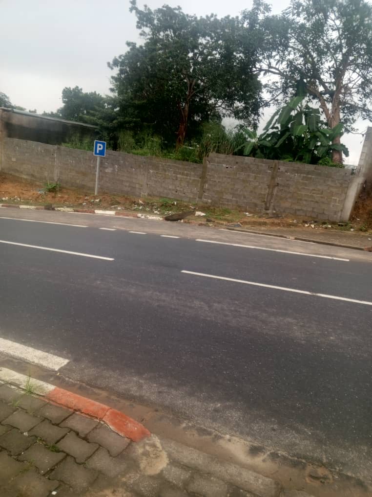 Terrain à vendre - Douala, Logpom, Bangos vers marché Beedi - 1000 m2 - 160 000 000 FCFA