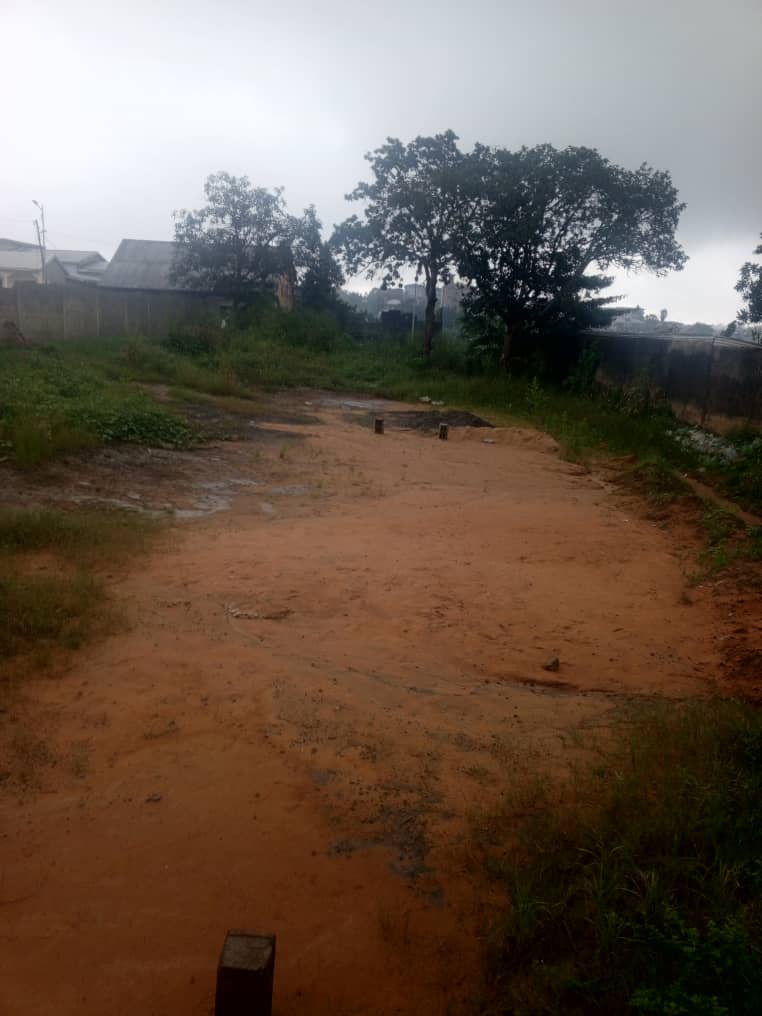 Terrain à vendre - Douala, Logpom, Bangos vers marché Beedi - 1000 m2 - 160 000 000 FCFA